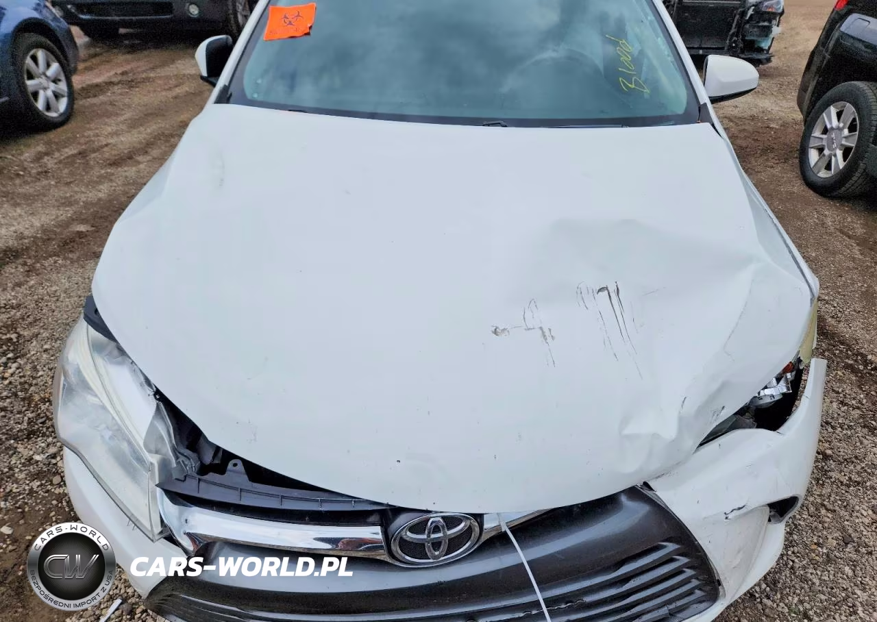 2016 Toyota Camry Le VIN:4T4BF1FK7GR538463 - 11