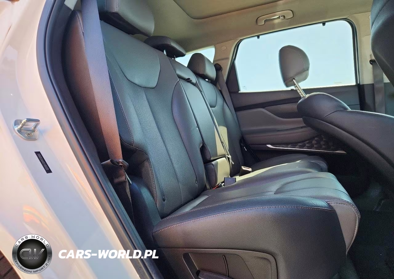 2020 Hyundai Santa Fe Limited 2.0T VIN:5NMS53AAXLH150320 - 11