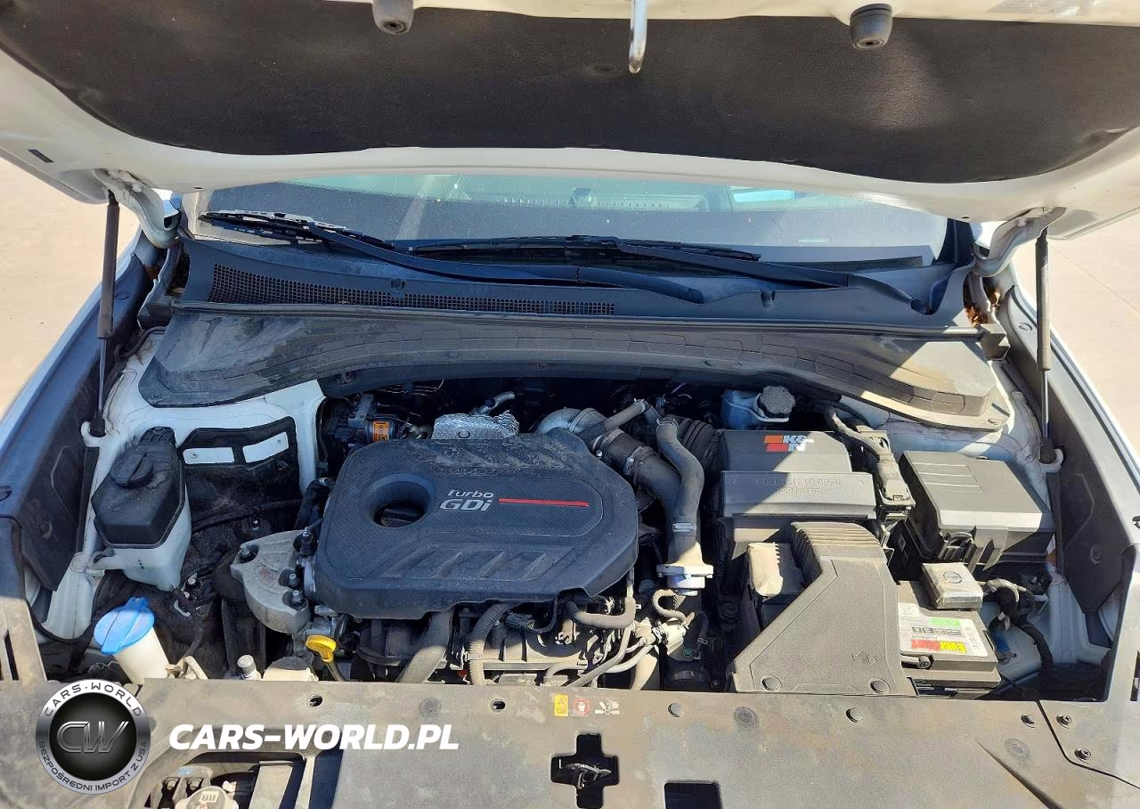 2020 Hyundai Santa Fe Limited 2.0T VIN:5NMS53AAXLH150320 - 12