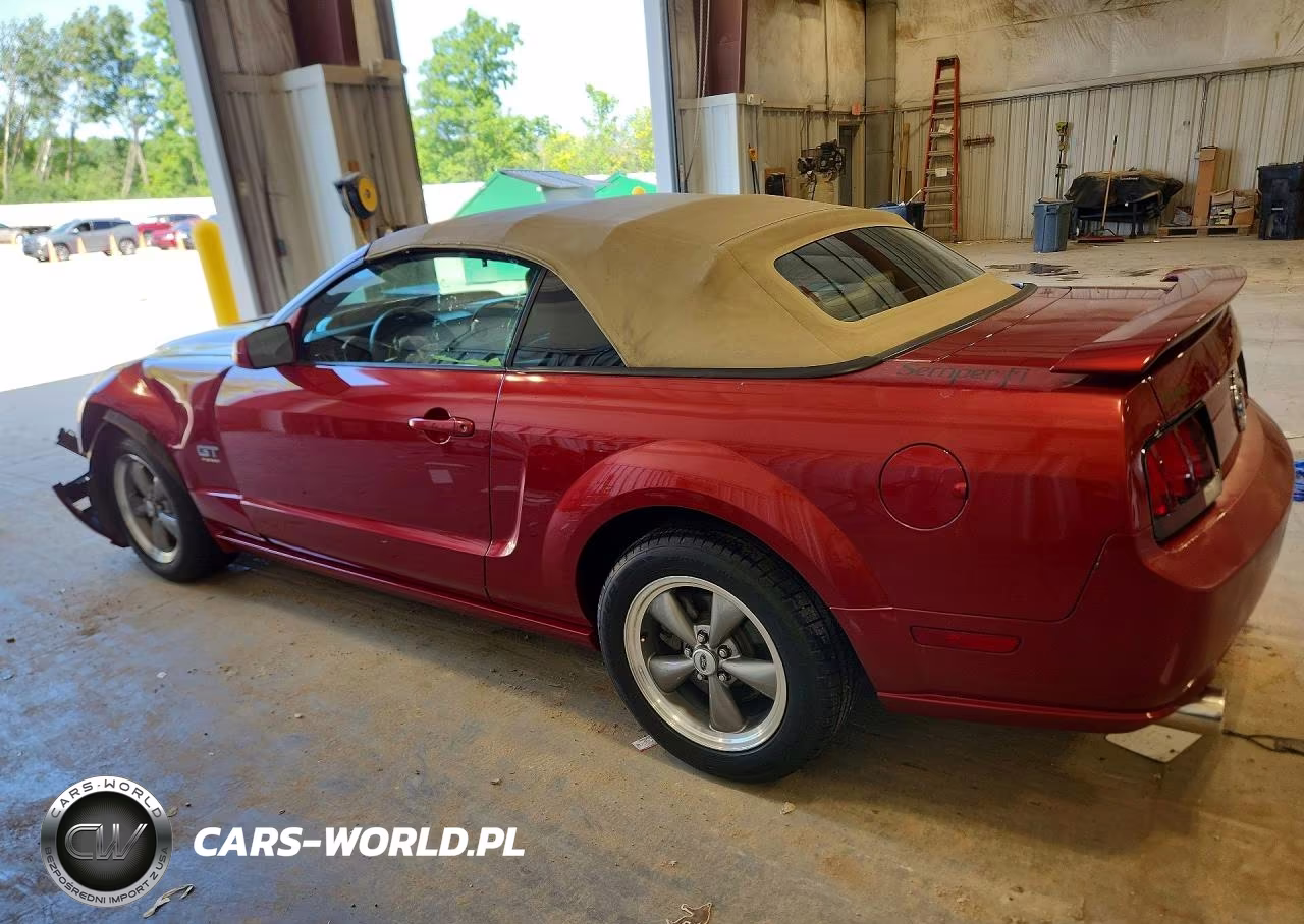 2006 Ford Mustang Gt VIN:1ZVHT85H665101141 - 2