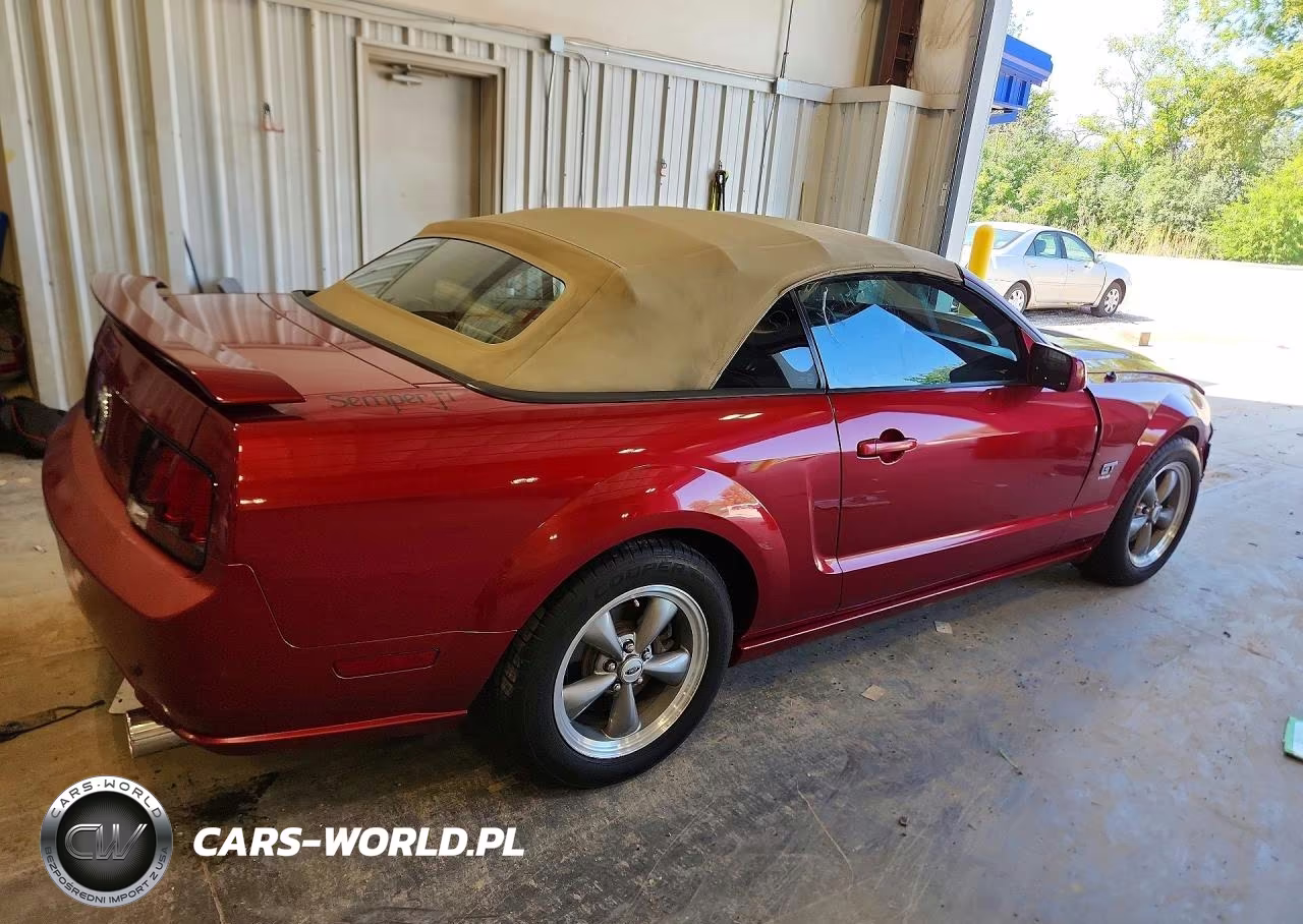 2006 Ford Mustang Gt VIN:1ZVHT85H665101141 - 3