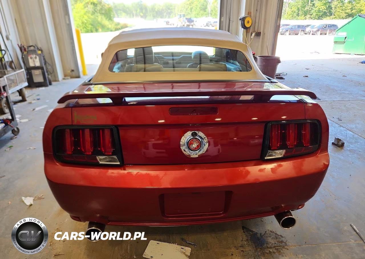 2006 Ford Mustang Gt VIN:1ZVHT85H665101141 - 6