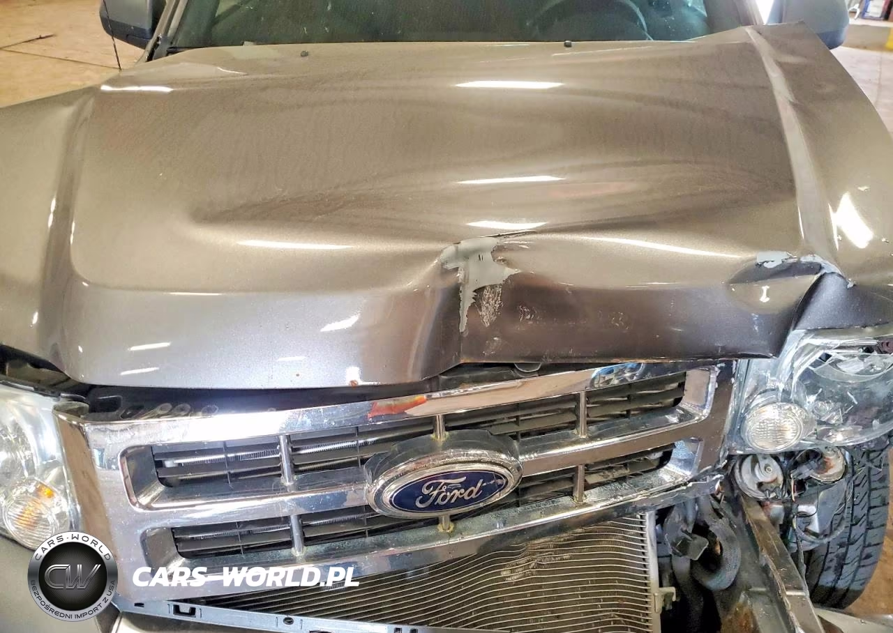 2009 Ford Escape Xlt VIN:1FMCU93739KC85787 - 12