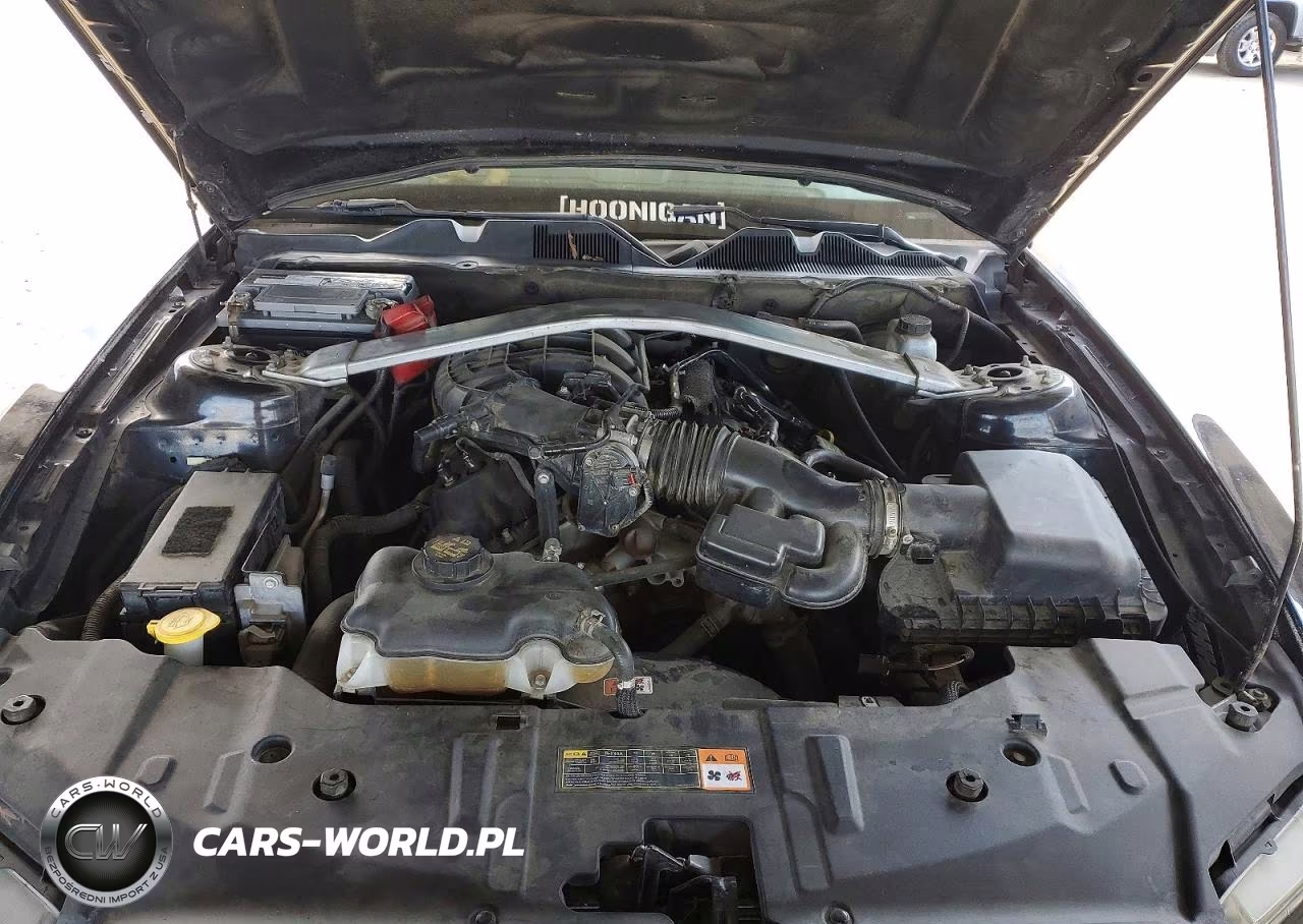 2013 Ford Mustang VIN:1ZVBP8EM1D5203919 - 11