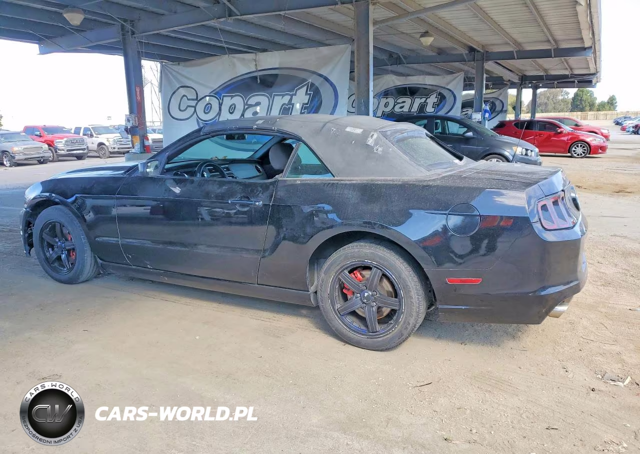 2013 Ford Mustang VIN:1ZVBP8EM1D5203919 - 2