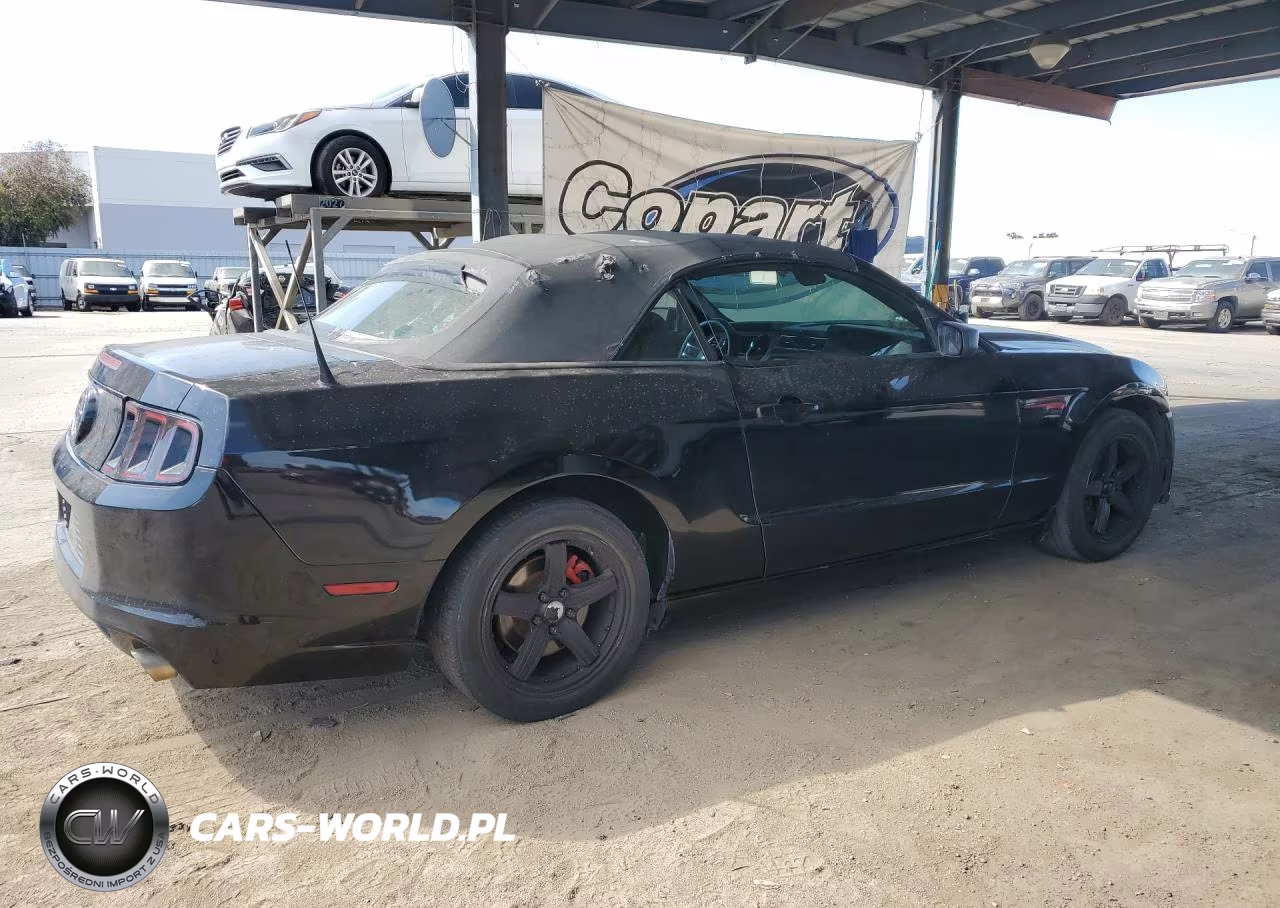 2013 Ford Mustang VIN:1ZVBP8EM1D5203919 - 3