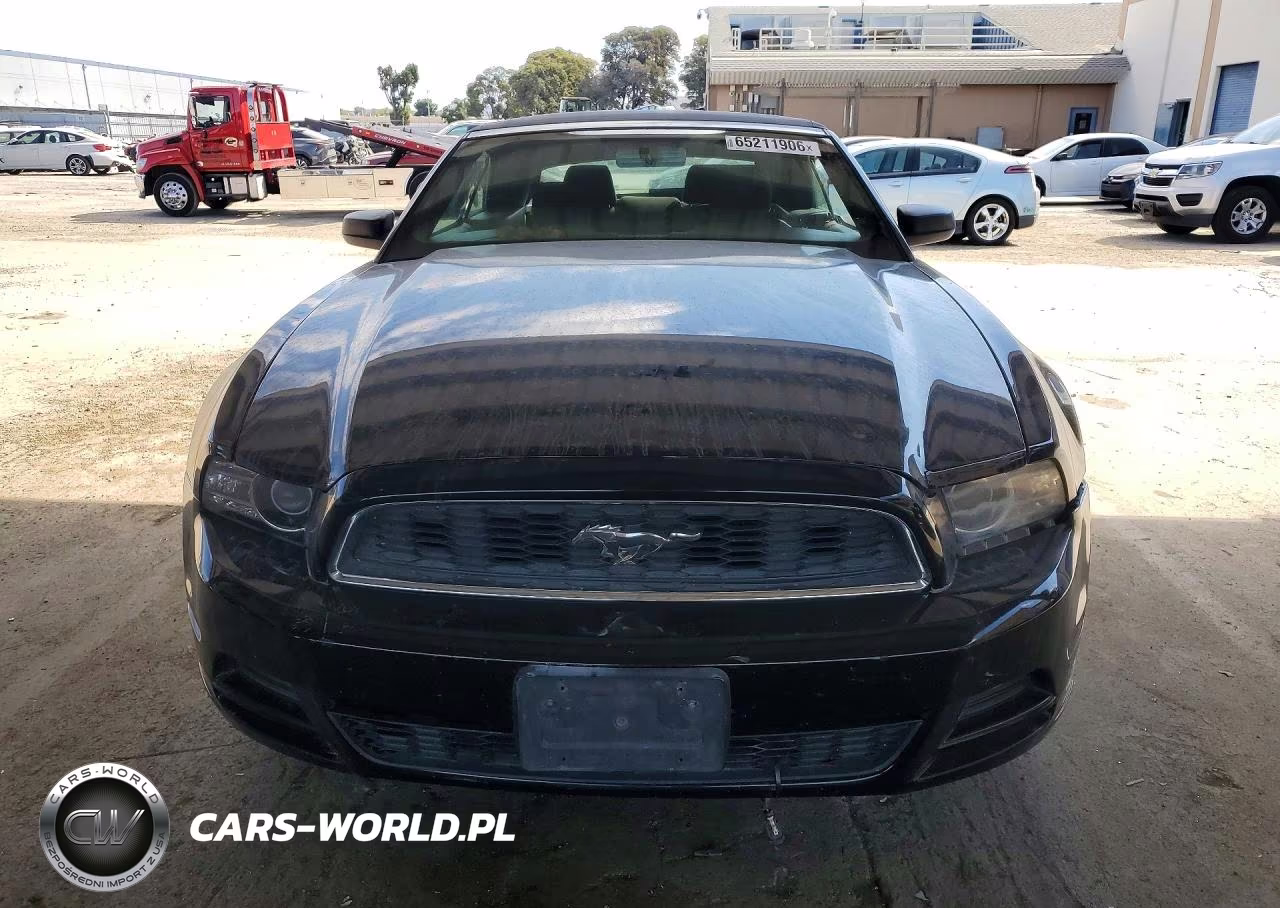 2013 Ford Mustang VIN:1ZVBP8EM1D5203919 - 5