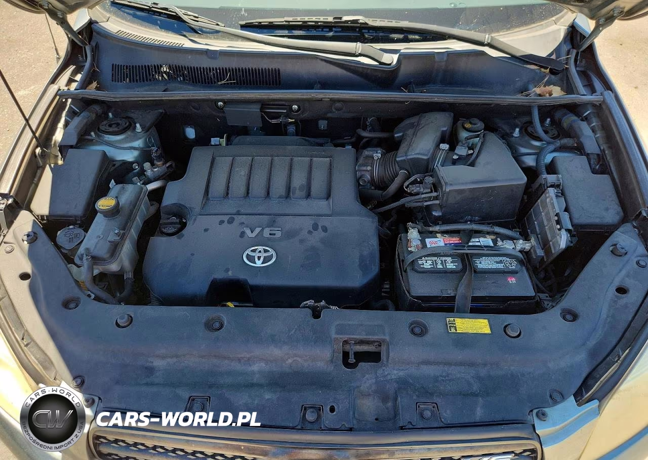 2006 Toyota Rav4 Base VIN:JTMZK33V365000256 - 12