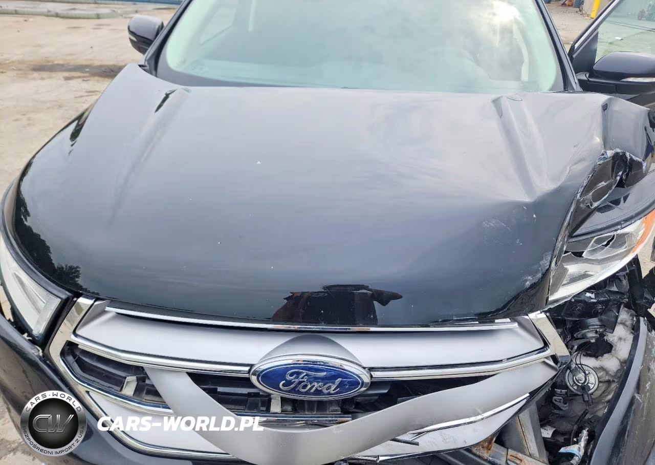 2017 Ford Edge Sel VIN:2FMPK4J9XHBC30292 - 12