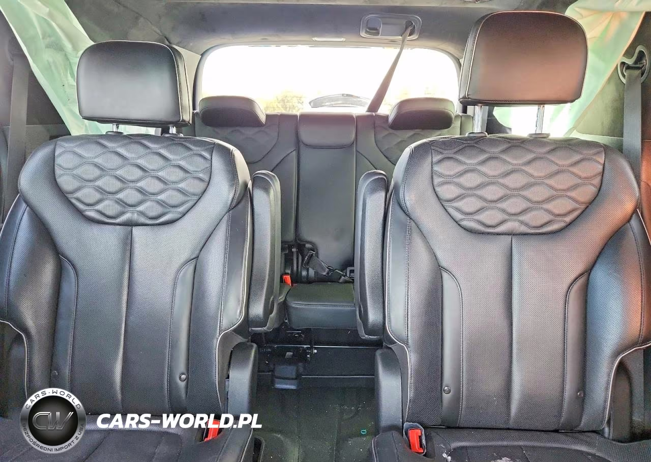 2021 Hyundai Palisade Calligraphy VIN:KM8R7DHE3MU248991 - 10