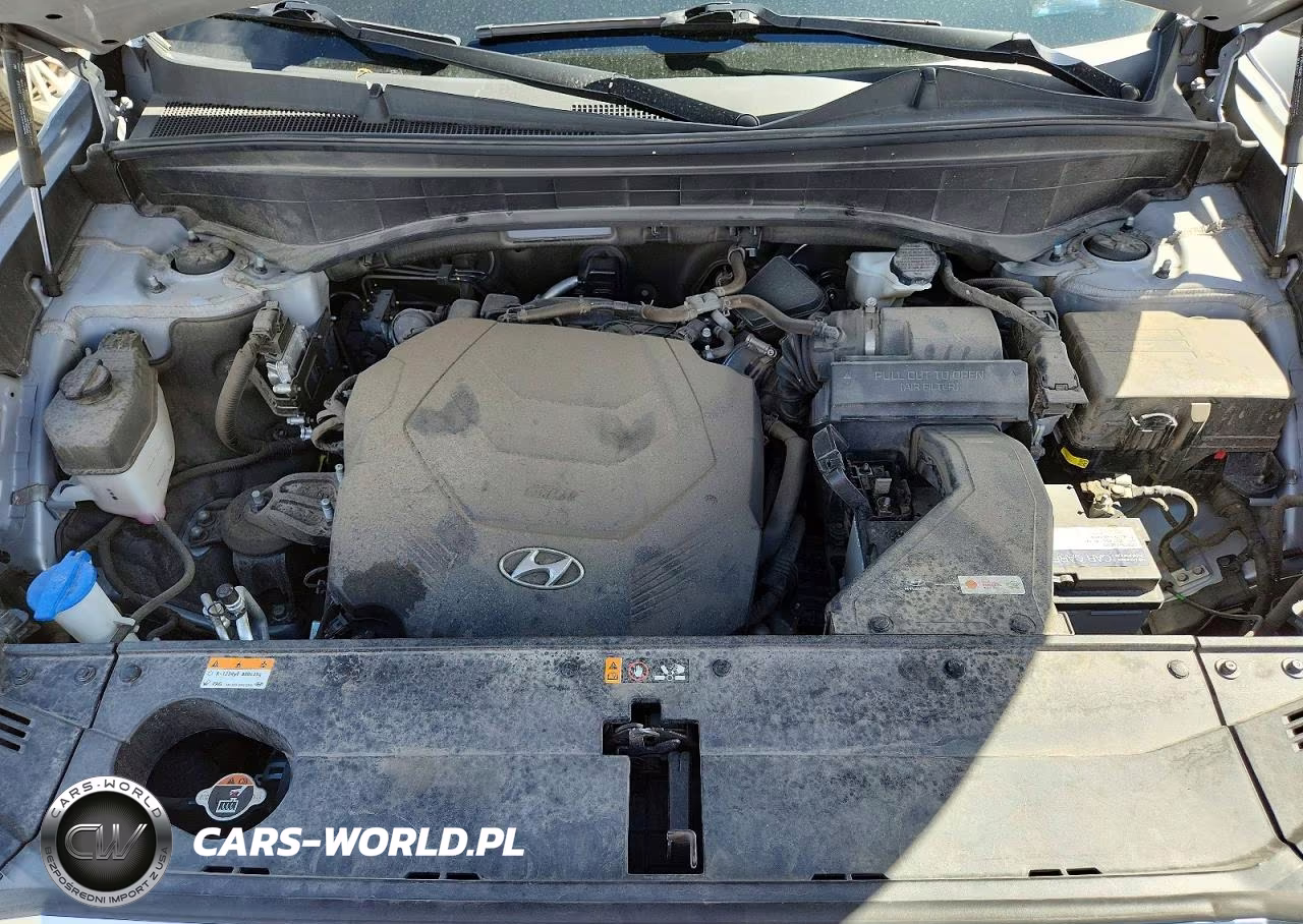 2021 Hyundai Palisade Calligraphy VIN:KM8R7DHE3MU248991 - 12