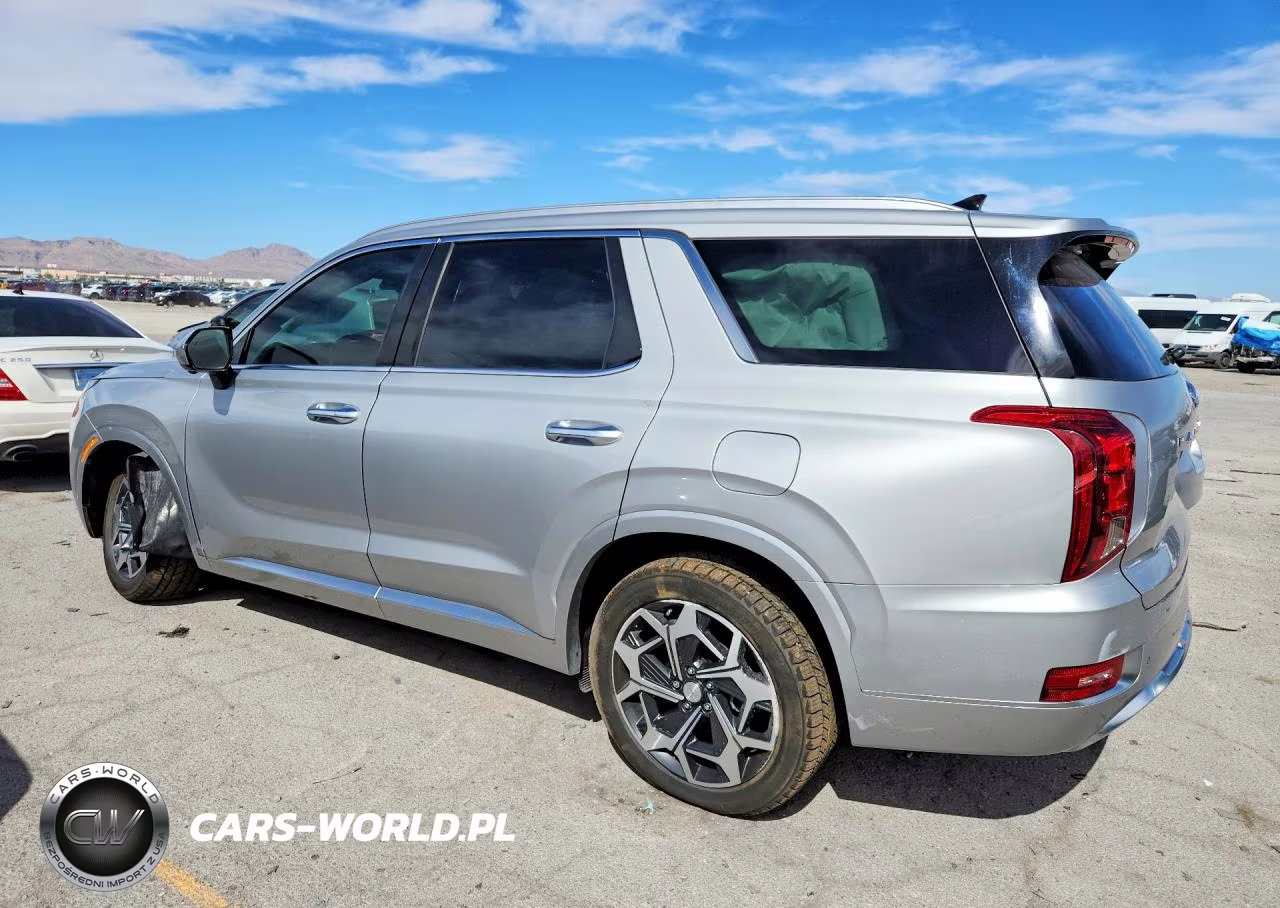 2021 Hyundai Palisade Calligraphy VIN:KM8R7DHE3MU248991 - 2