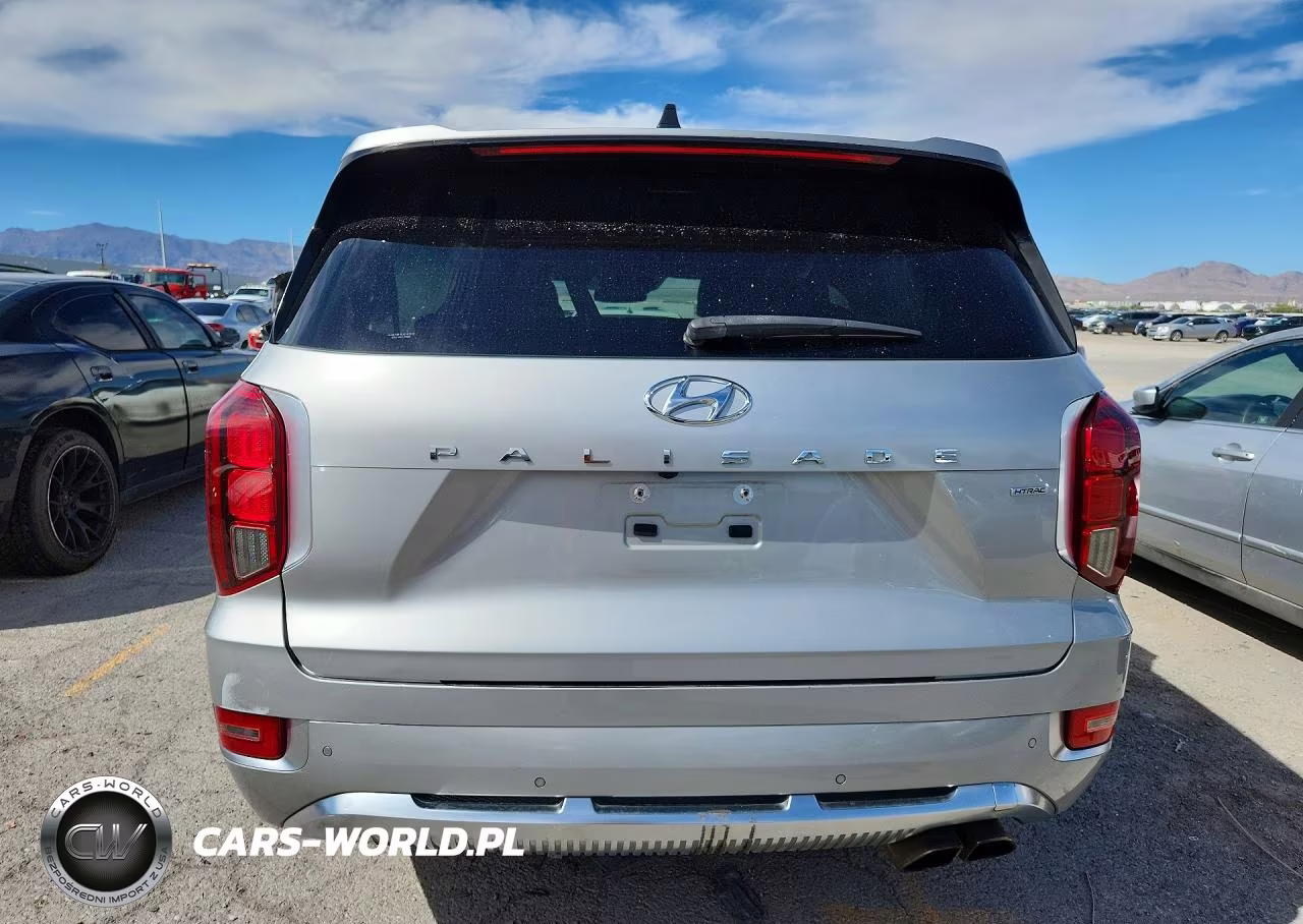 2021 Hyundai Palisade Calligraphy VIN:KM8R7DHE3MU248991 - 6