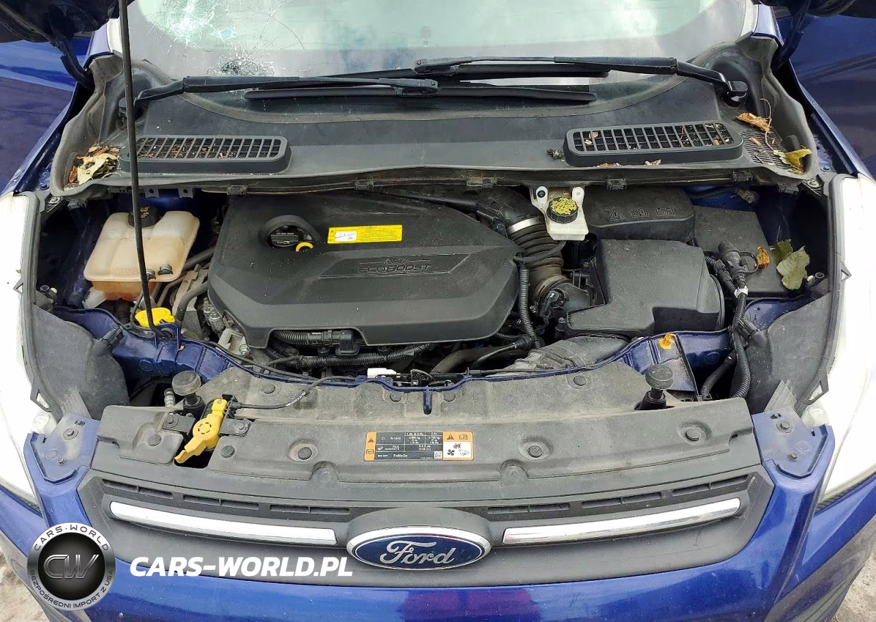 2015 Ford Escape Se VIN:1FMCU0GX5FUC30005 - 12