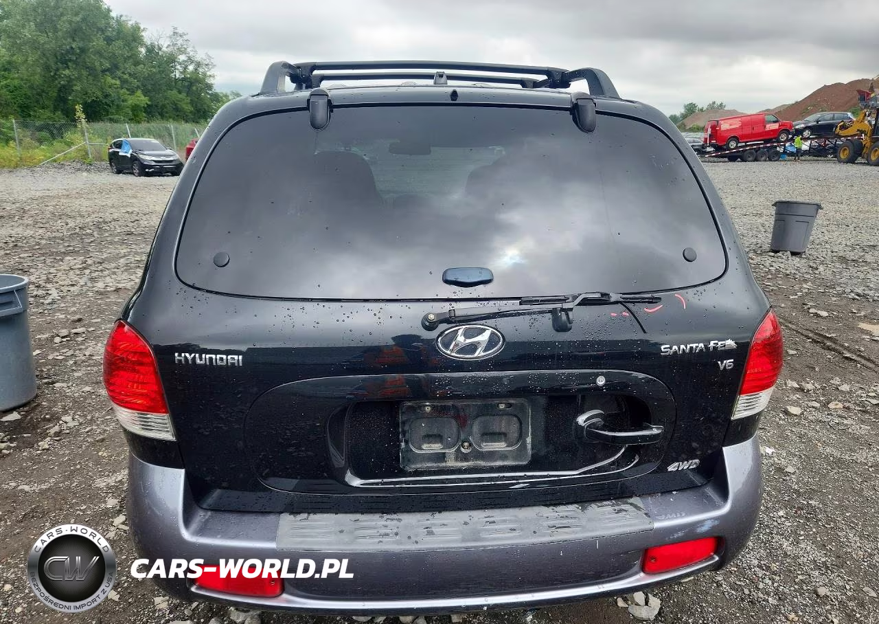 2005 Hyundai Santa Fe Gls VIN:KM8SC73D55U896959 - 6
