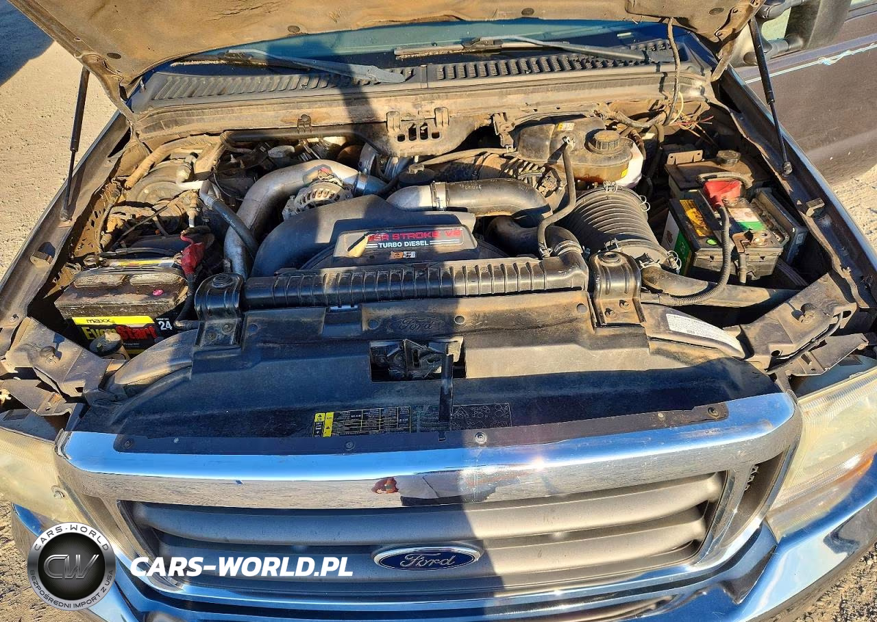 2004 Ford F250 Super Duty VIN:1FTNW20P54EB31396 - 11