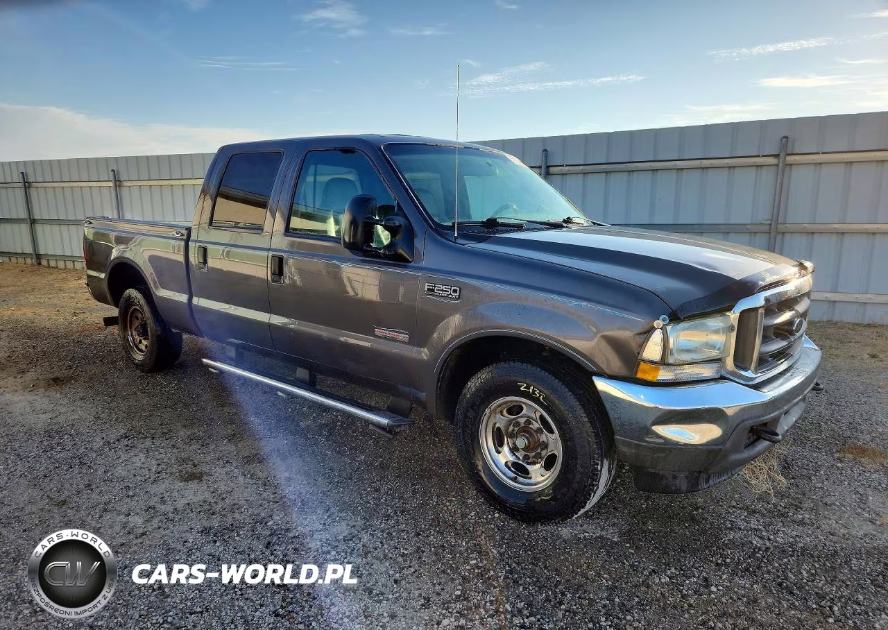 2004 Ford F250 Super Duty VIN:1FTNW20P54EB31396 - 4