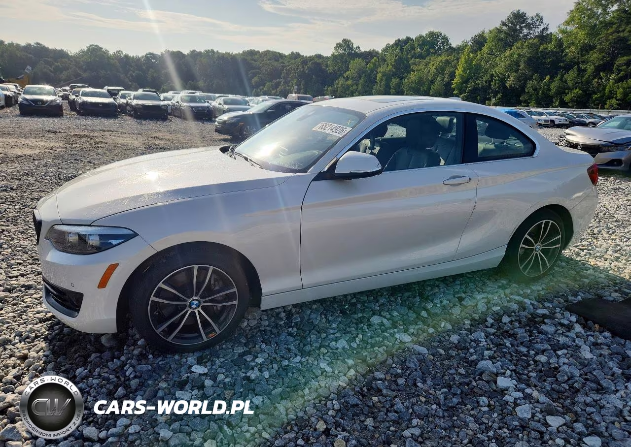 2021 BMW 230I VIN:WBA2J1C0XM7J04853 - 1