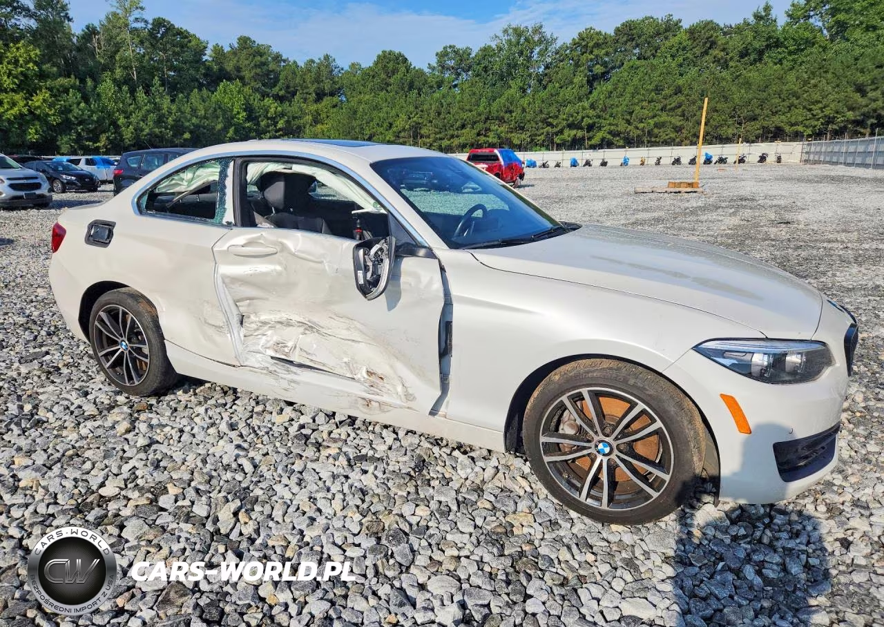 2021 BMW 230I VIN:WBA2J1C0XM7J04853 - 4