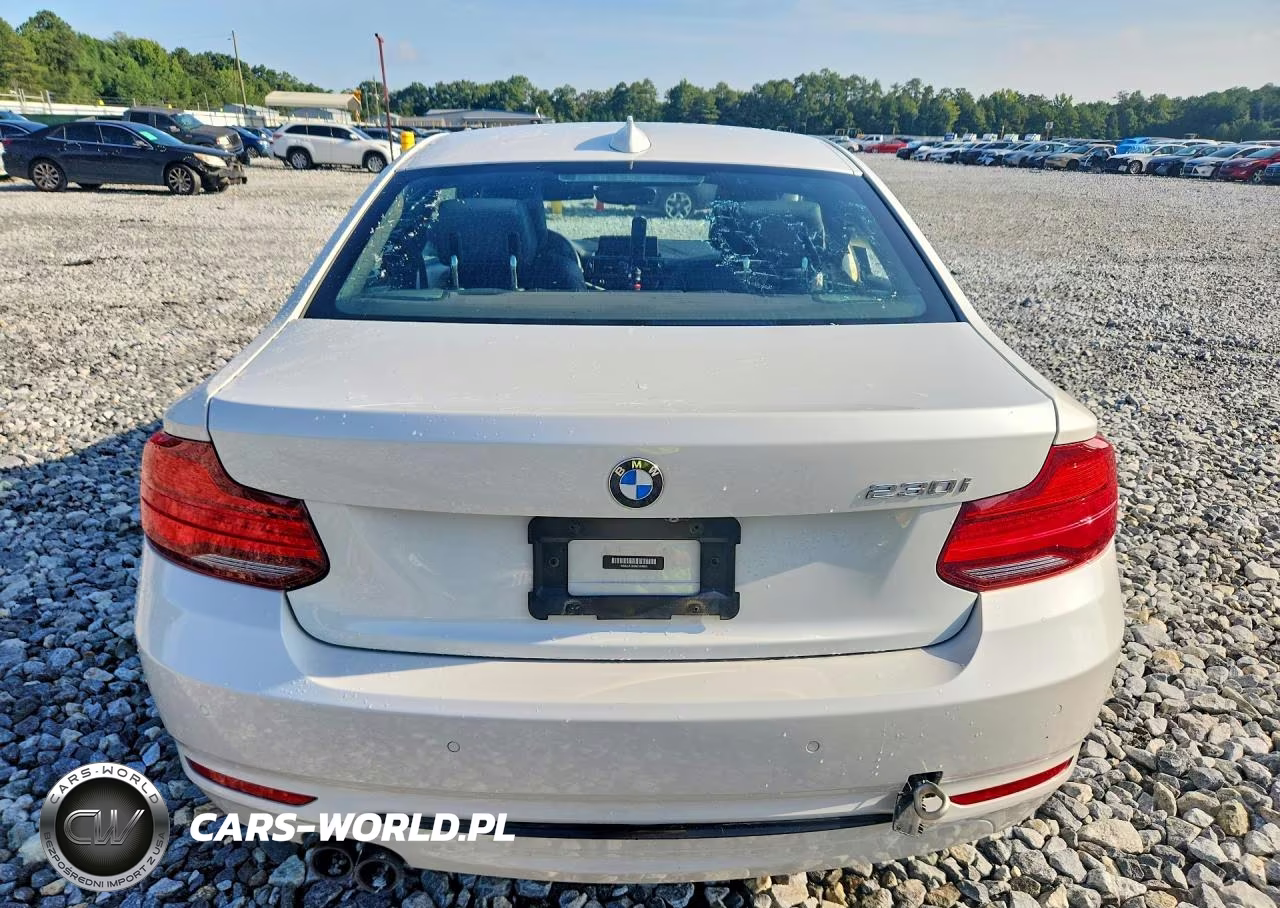2021 BMW 230I VIN:WBA2J1C0XM7J04853 - 6