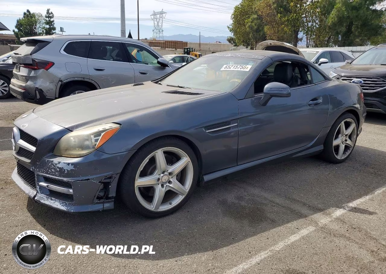 2013 Mercedes-Benz Slk 250