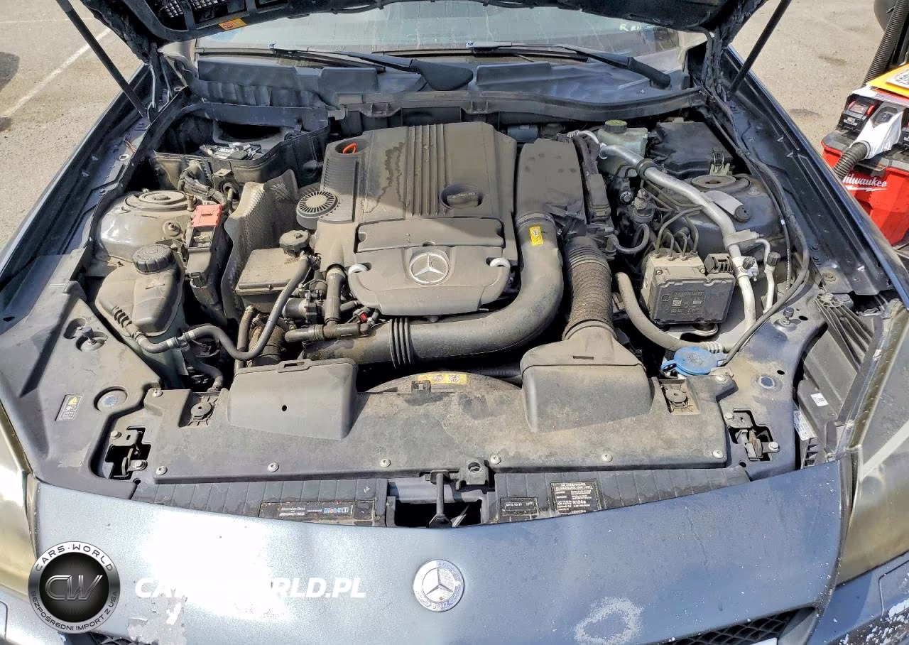 2013 Mercedes-Benz Slk 250 VIN:WDDPK4HA9DF055570 - 11
