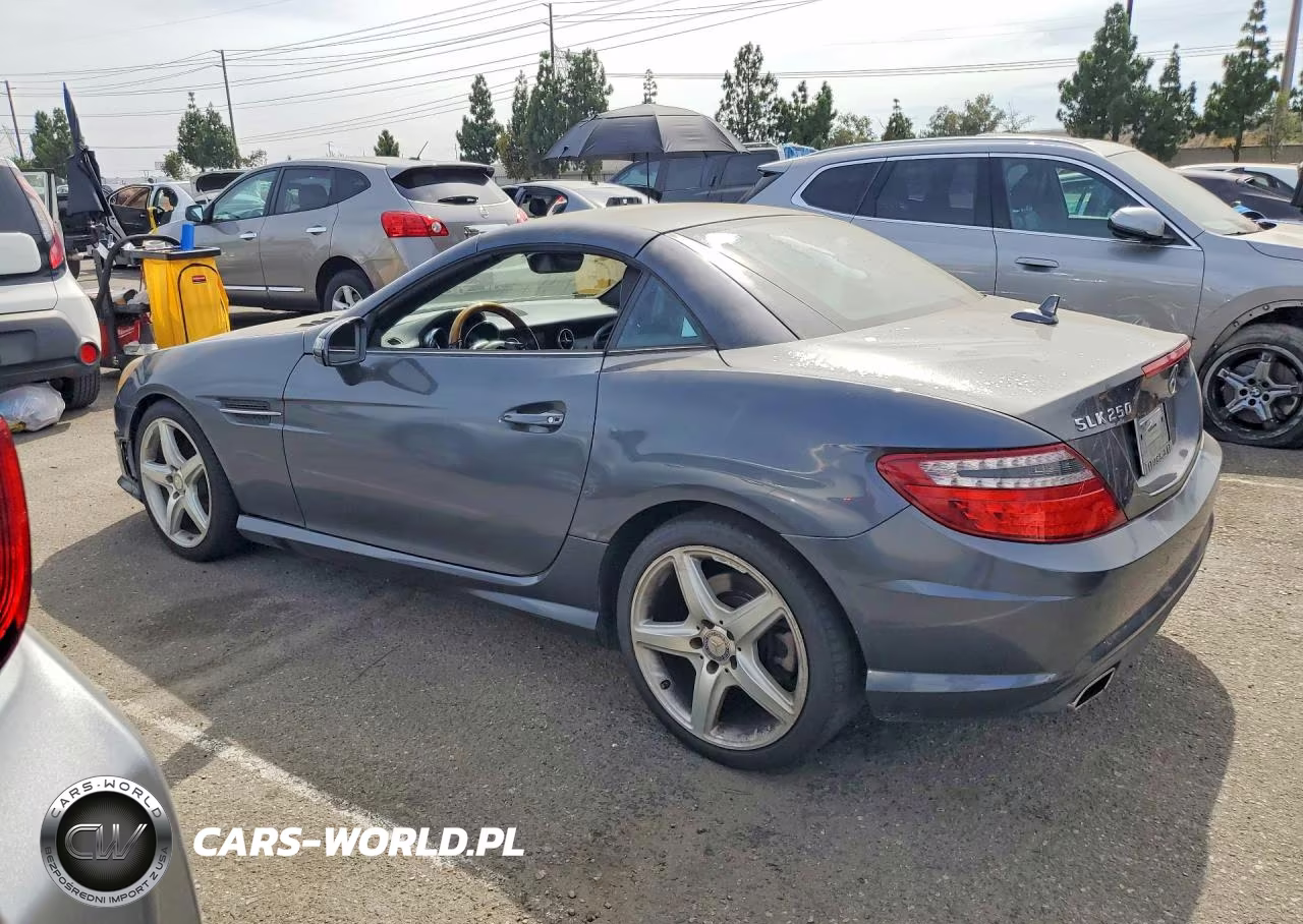 2013 Mercedes-Benz Slk 250 VIN:WDDPK4HA9DF055570 - 2