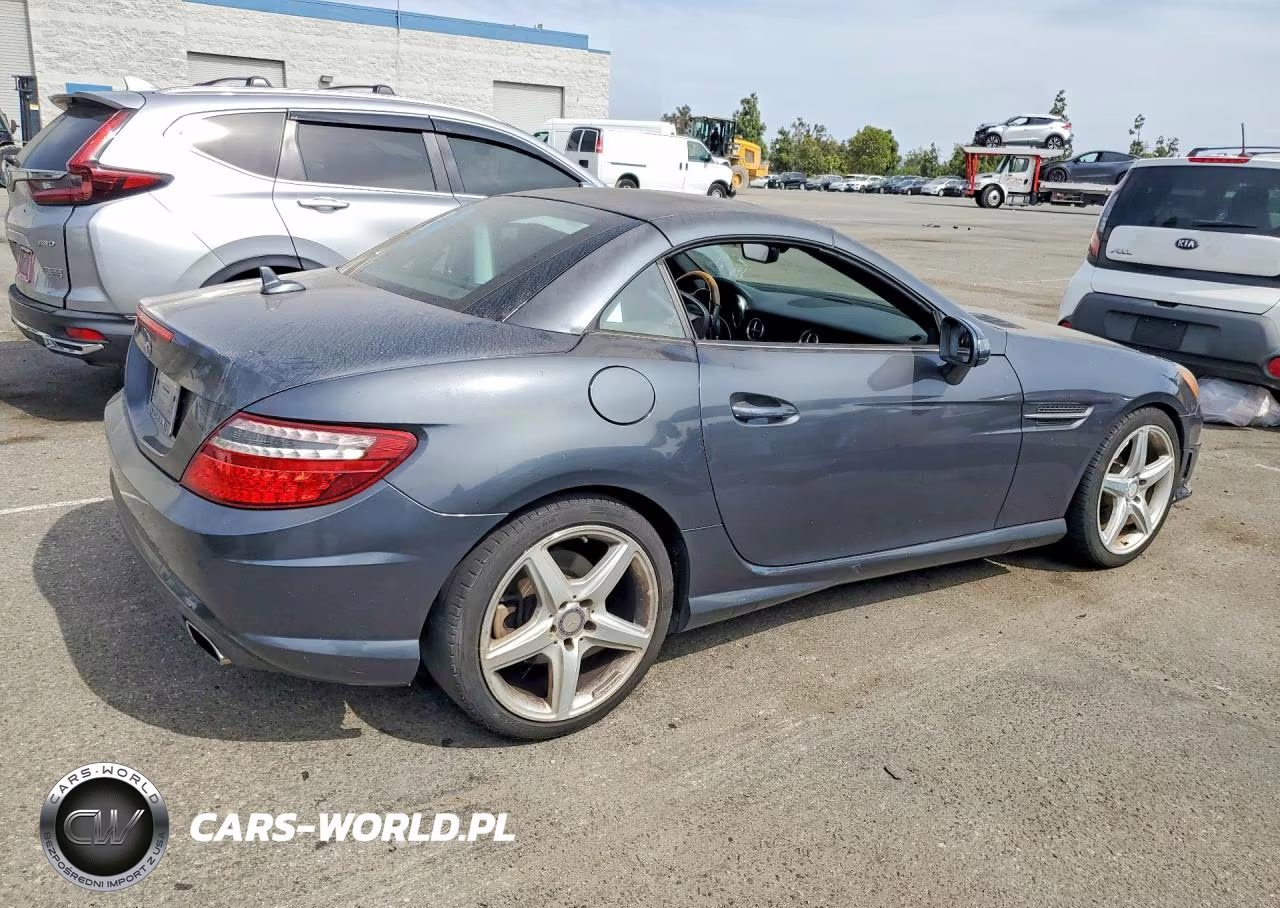 2013 Mercedes-Benz Slk 250 VIN:WDDPK4HA9DF055570 - 3