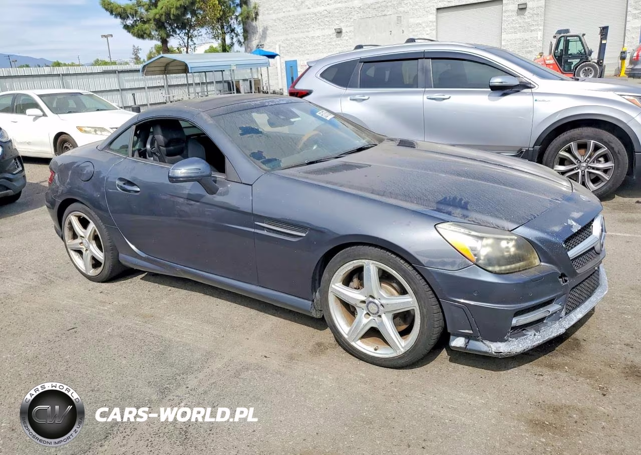 2013 Mercedes-Benz Slk 250 VIN:WDDPK4HA9DF055570 - 4