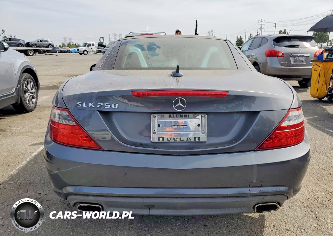 2013 Mercedes-Benz Slk 250 VIN:WDDPK4HA9DF055570 - 6