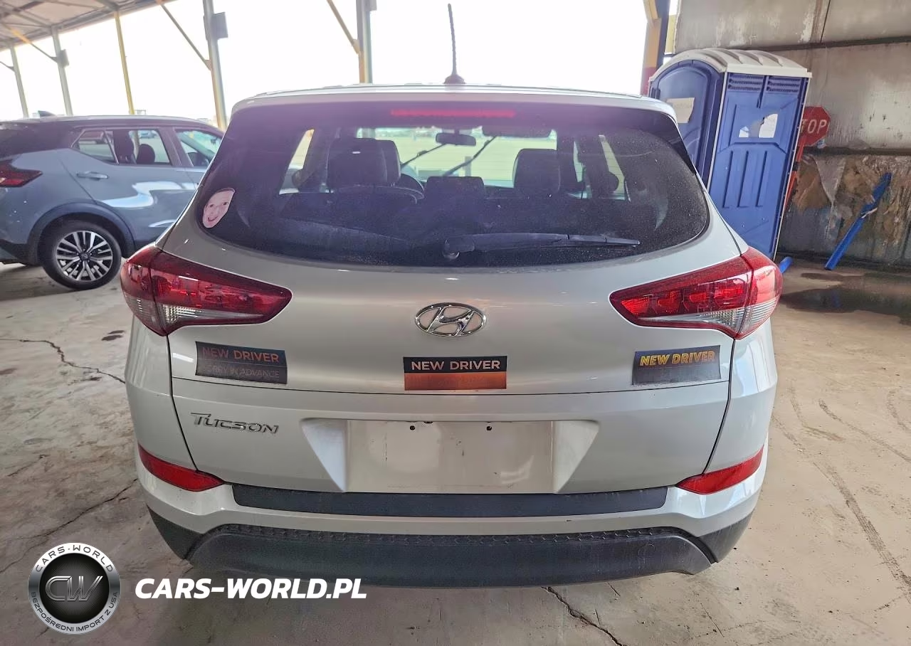 2016 Hyundai Tucson Se VIN:KM8J23A43GU207031 - 6