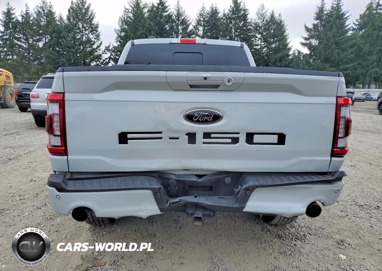 2023 Ford F150 Supercrew VIN:1FTFW1ED5PFD00344 - 6