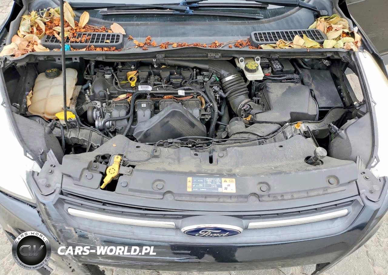 2014 Ford Escape Se VIN:1FMCU0G96EUC34998 - 12