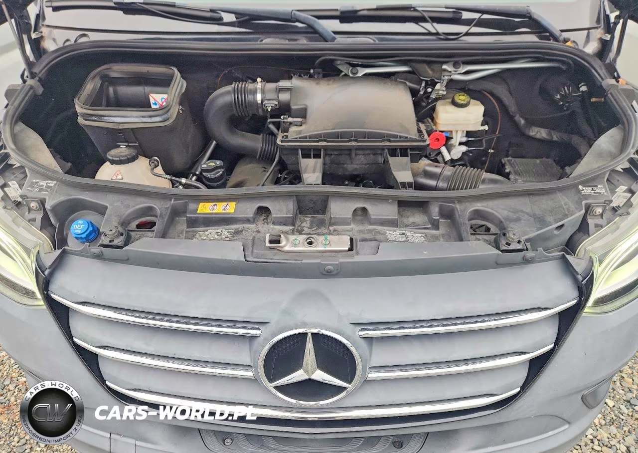 2020 Mercedes-Benz Sprinter 2500 VIN:W1Z4EGHY4LT030330 - 11