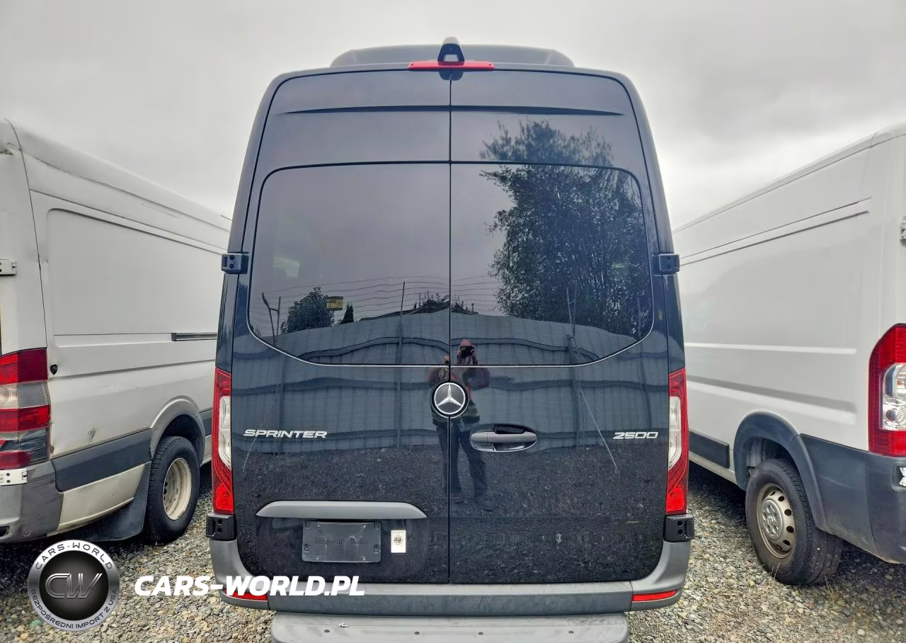 2020 Mercedes-Benz Sprinter 2500 VIN:W1Z4EGHY4LT030330 - 6