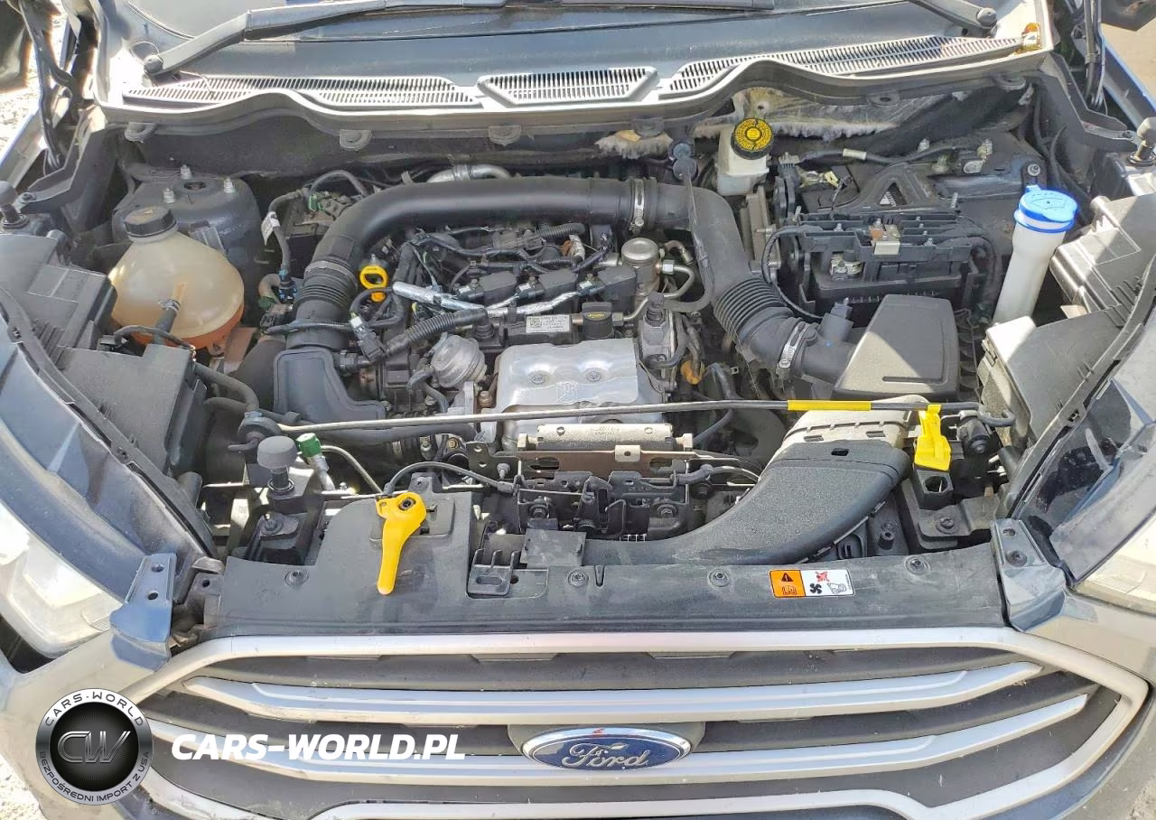 2019 Ford Ecosport Se VIN:MAJ3S2GE4KC281571 - 12
