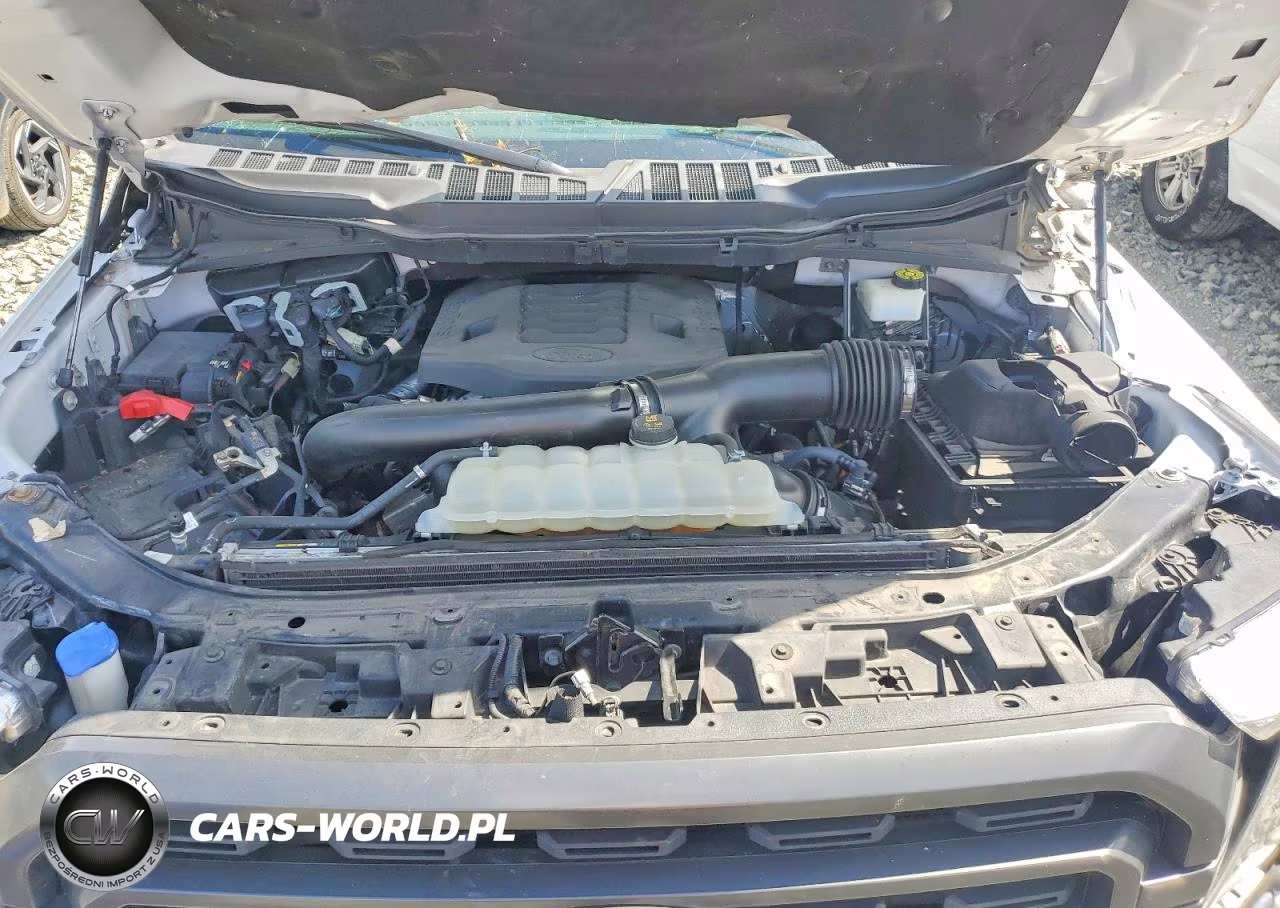 2021 Ford F150 Supercrew VIN:1FTFW1E8XMFA87552 - 11