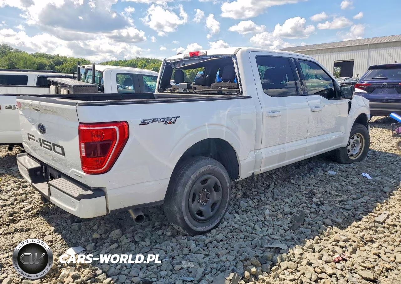 2021 Ford F150 Supercrew VIN:1FTFW1E8XMFA87552 - 3