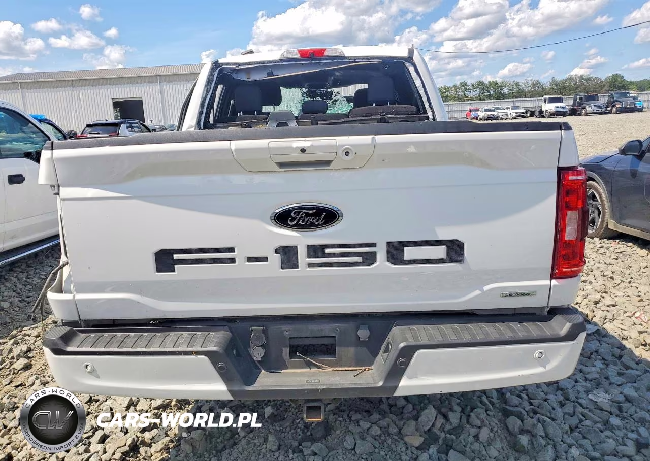 2021 Ford F150 Supercrew VIN:1FTFW1E8XMFA87552 - 6