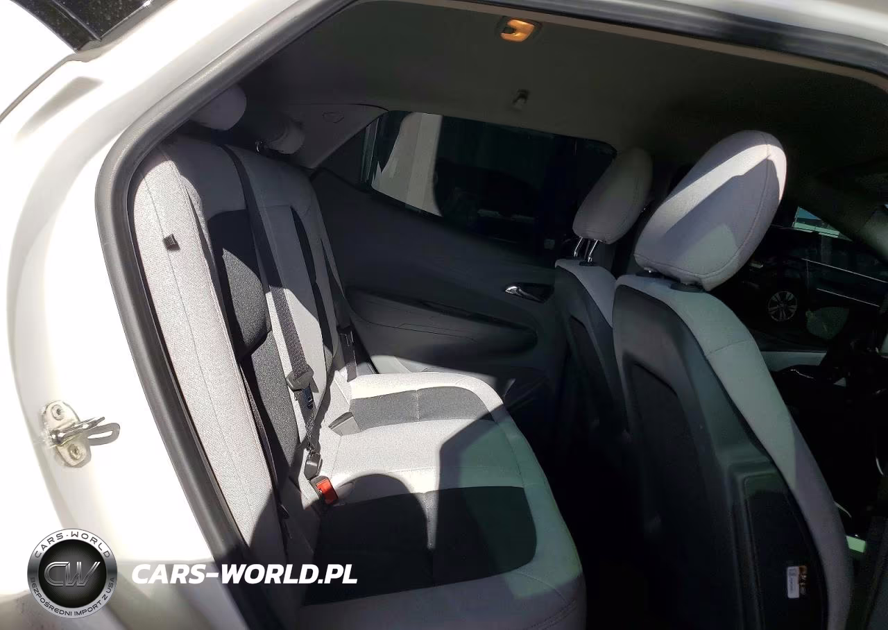 2019 Chevrolet Bolt Ev Lt VIN:1G1FY6S02K4124018 - 10