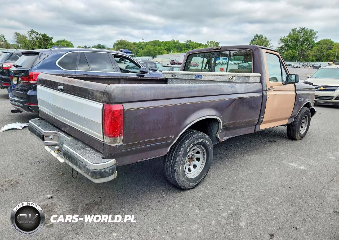 1989 Ford F150 VIN:2FTEF15Y3KCB39530 - 3