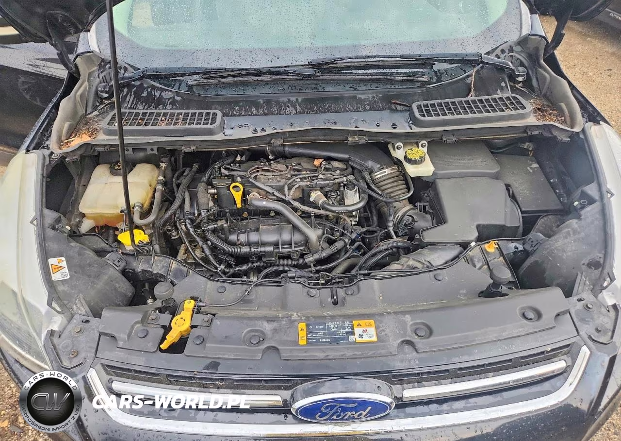 2014 Ford Escape Titanium VIN:1FMCU9JXXEUA11522 - 11