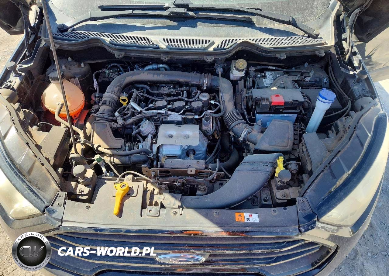 2019 Ford Ecosport S VIN:MAJ3S2FEXKC265067 - 12