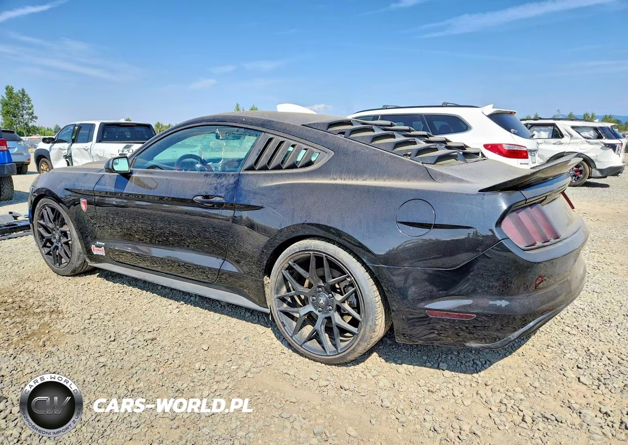 2017 Ford Mustang Gt VIN:1FA6P8THXH5288989 - 2