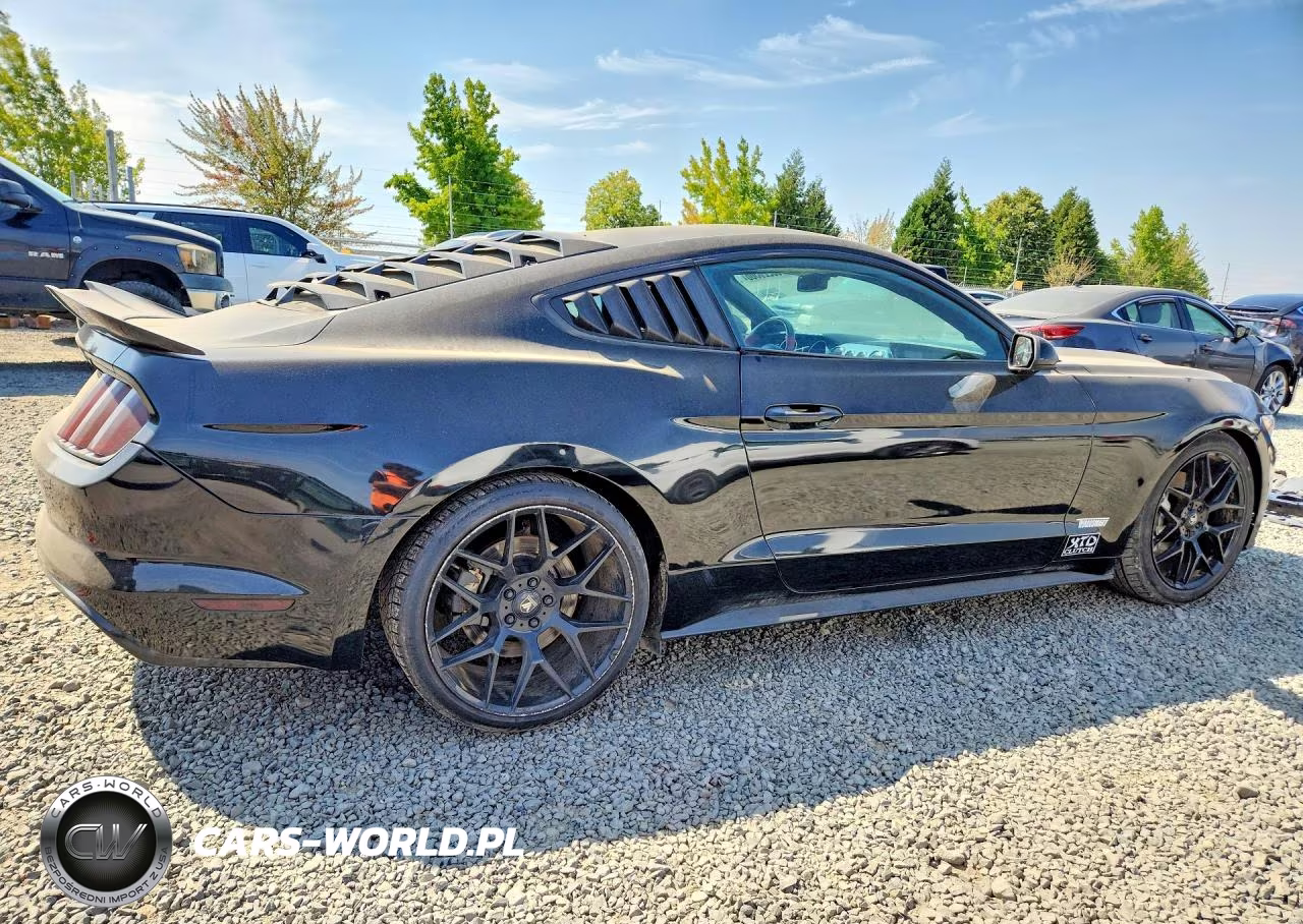2017 Ford Mustang Gt VIN:1FA6P8THXH5288989 - 3