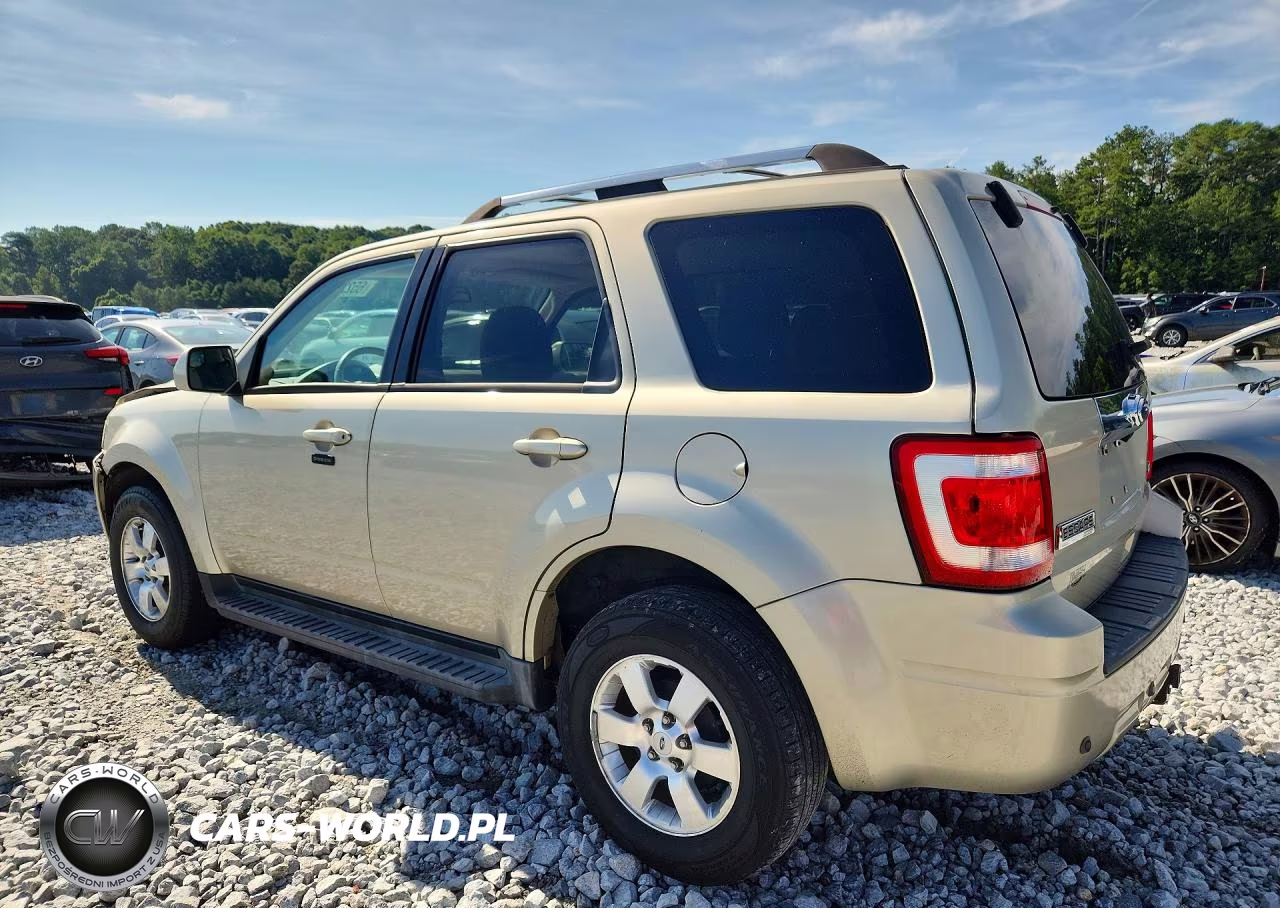 2010 Ford Escape Limited VIN:1FMCU0EG2AKA43103 - 2