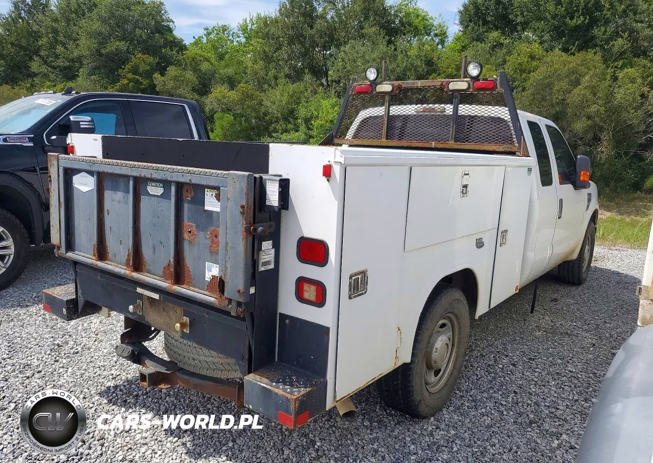 2010 Ford F250 Super Duty VIN:1FTSX2A50AEA89793 - 3
