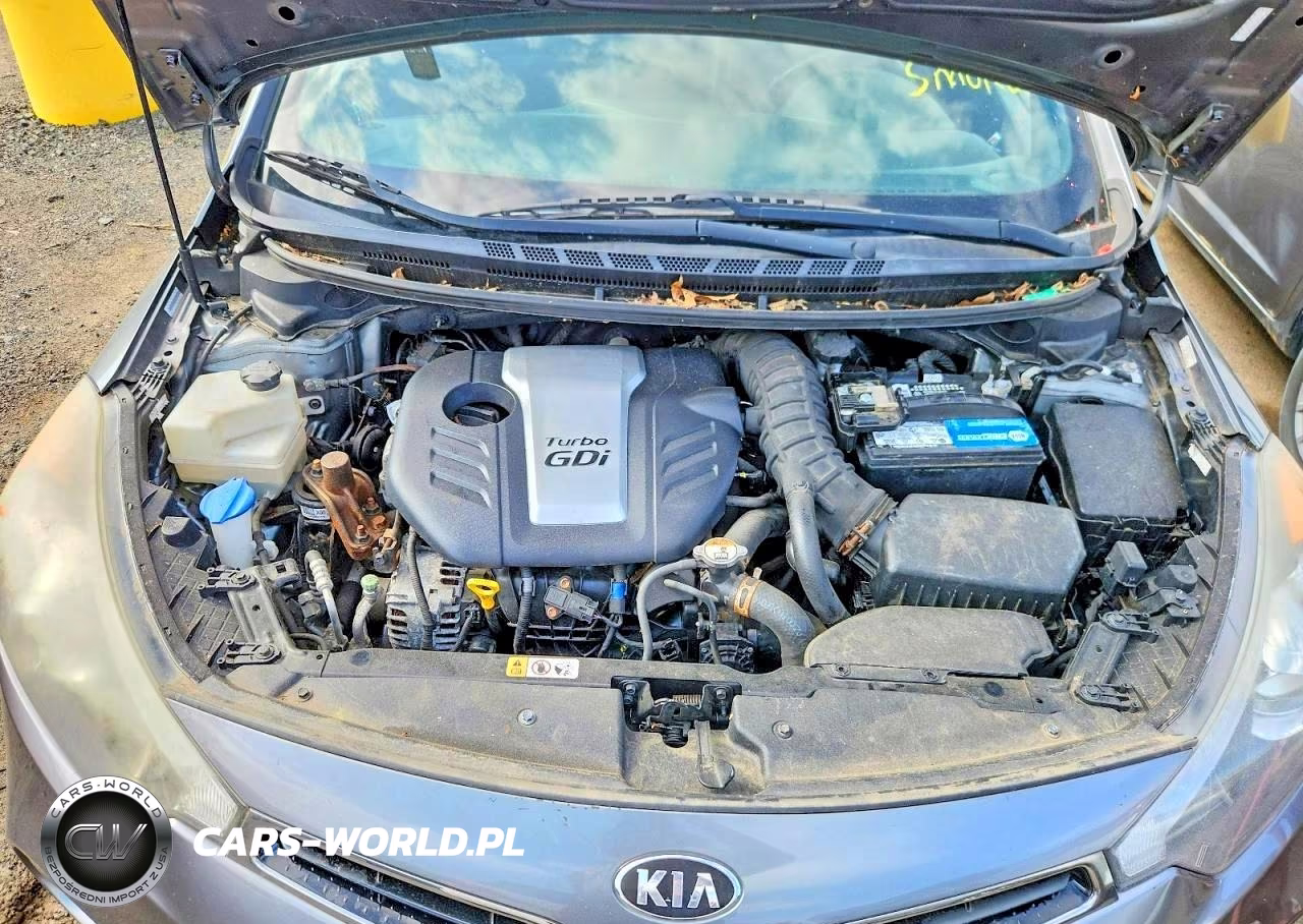 2016 Kia Forte Sx VIN:KNAFZ5A35G5592172 - 11