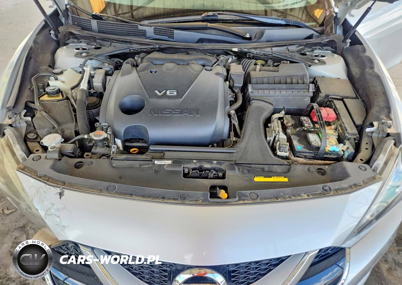 2016 Nissan Maxima Platinum VIN:1N4AA6AP6GC443865 - 11