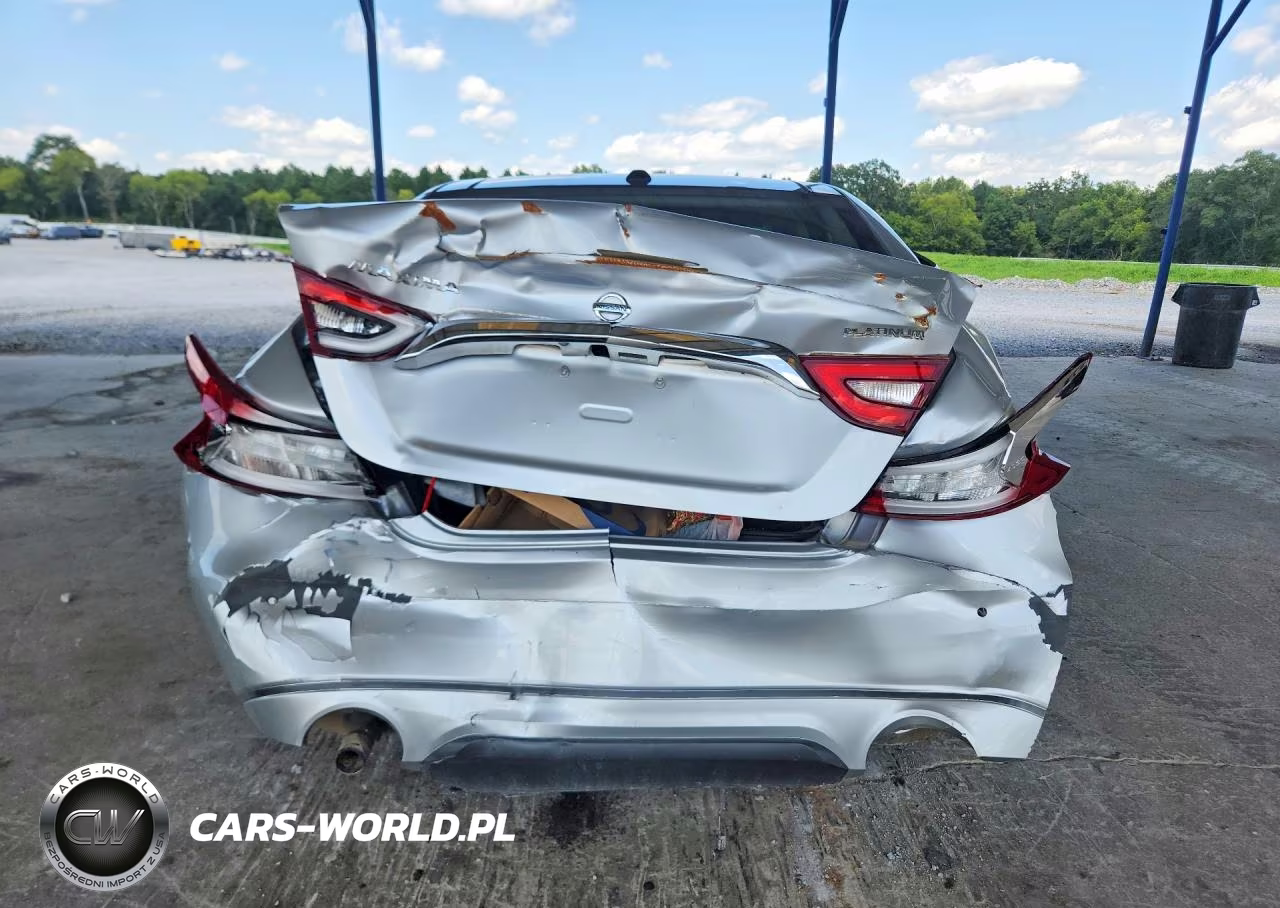 2016 Nissan Maxima Platinum VIN:1N4AA6AP6GC443865 - 6